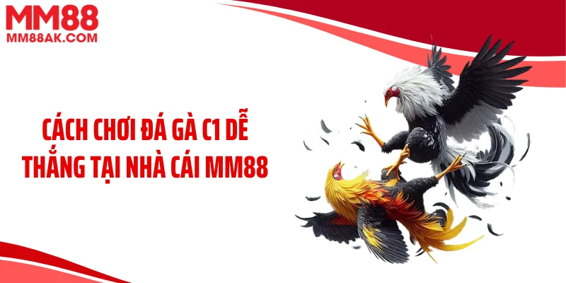 Cách chơi đá gà C1 dễ thắng tại nhà cái MM88